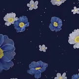 紫色怪怪怪兽
