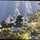 方知有