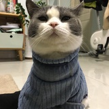 谬