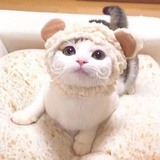 栗子liz