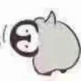 now酱