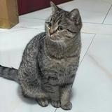 点点豆豆