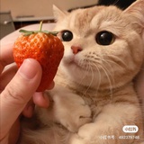 🍓甜不甜