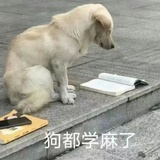 不想吃外卖了