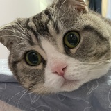 杨梅小腿