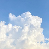 生活可爱你也是
