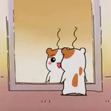 眠狸