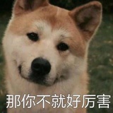 文辰