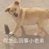 人间猪腩肉