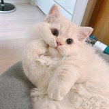 你最好是