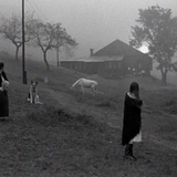 pilgrimage