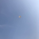 已注销、