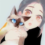 双双