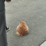 月人山
