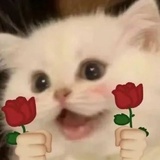 zjlyf