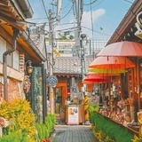 鹿鸣食野