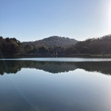 静姝