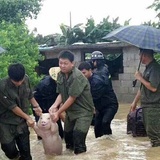 老乔