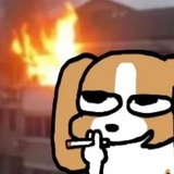 福备箕畴