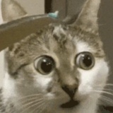 王源（娇妻化）