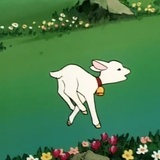 秋秋而已