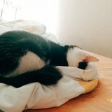 电话卡给谁
