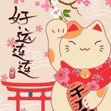 粥粥