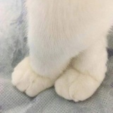 🌙