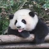 牛顿拉夫逊