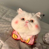 没事注册玩