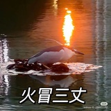 烟飘万里