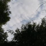 xiyian咸