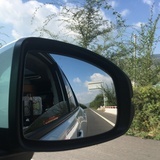 胖仔