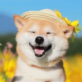 总会相遇