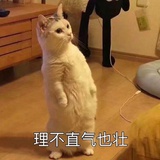 头像即真理