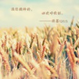 祂是我的主