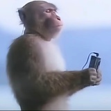 123