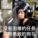 兔瑞斯