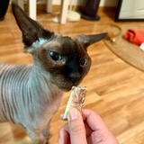 牛奶威士忌