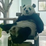 里理离黎丽