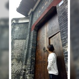 南方的猪