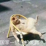 未注销
