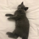 穿越回小时代