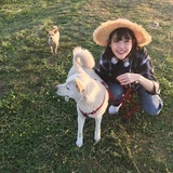 橘子汽水