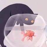 江湖大骗子