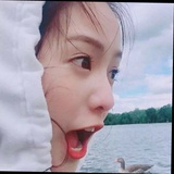 山有木兮