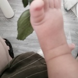 禹辰