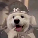 小芬芬