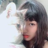 储物箱子