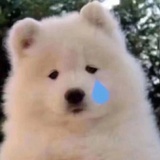 呼啦啦